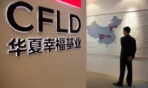 Tentang Rencana & Proyek CFLD di Indonesia