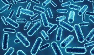 ASI sumber mikroba baik