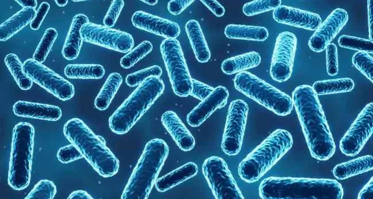 ASI sumber mikroba baik