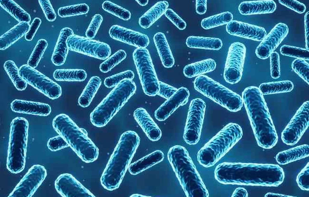 ASI sumber mikroba baik