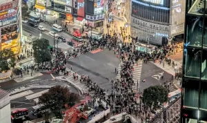 Shibuya, Wajah Tokyo yang Bergerak dari Persimpangan hingga Atap Kota
